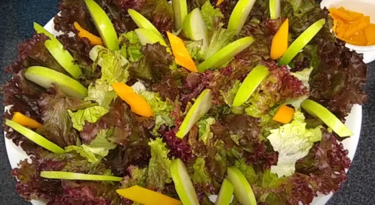 Salada de alface roxa com maçã verde e pimentão